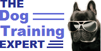 Positive Dog Training, Reviews, Downloads & Courses Online