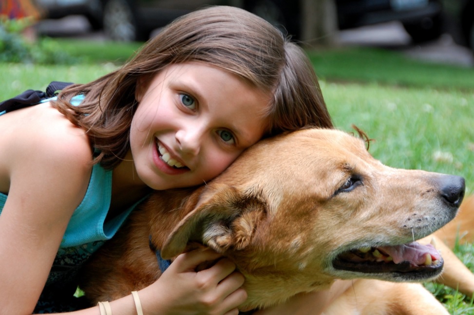 Taking care of your dog is important with chilldren